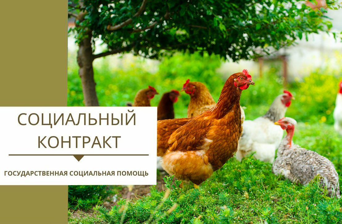 Соцконтракт.  Что надо для его получения?